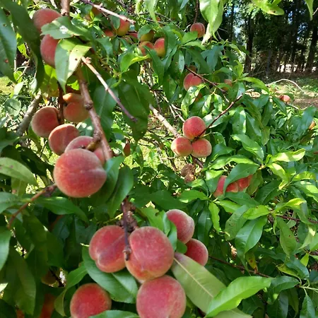 וילה Clos Des Loriots