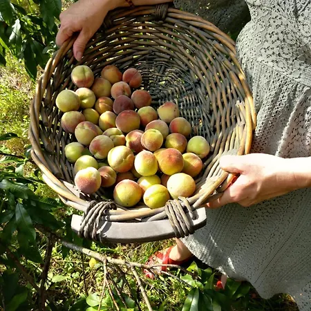 Clos Des Loriots וילה *