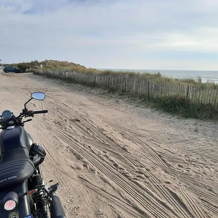 Clos Des Loriots * Queyrac