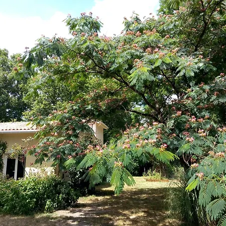 וילה Clos Des Loriots *