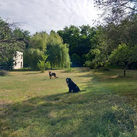 Villa Clos Des Loriots