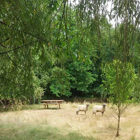 Clos Des Loriots Queyrac