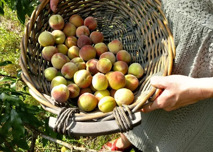 Clos Des Loriots 빌라 *