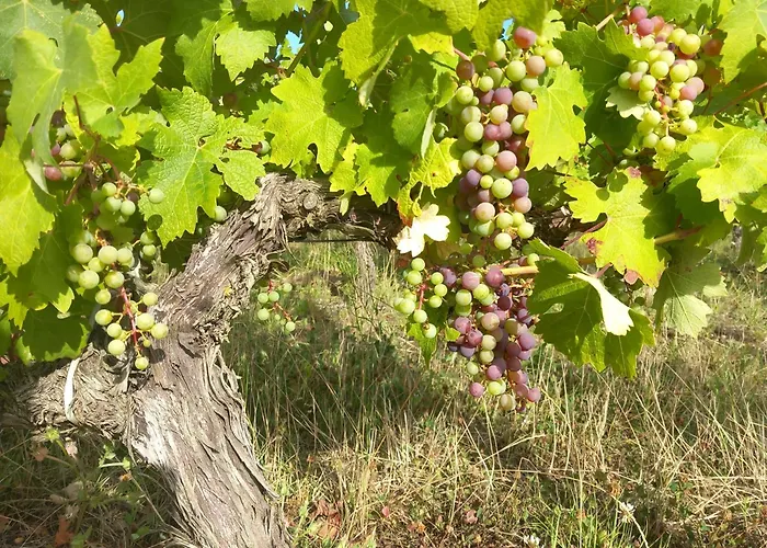 빌라 Clos Des Loriots Queyrac