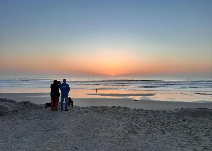 Clos Des Loriots 빌라