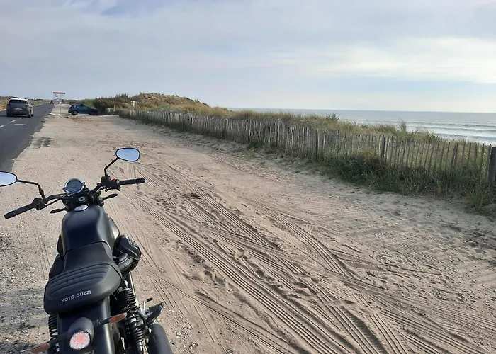 Clos Des Loriots * Queyrac