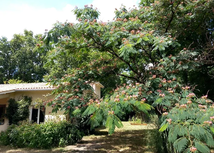 빌라 Clos Des Loriots *