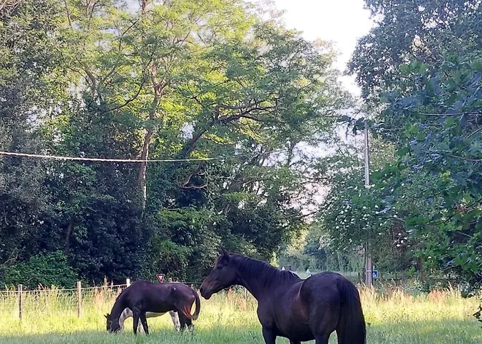 Clos Des Loriots 빌라 Queyrac