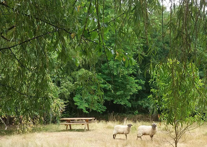 Clos Des Loriots Queyrac